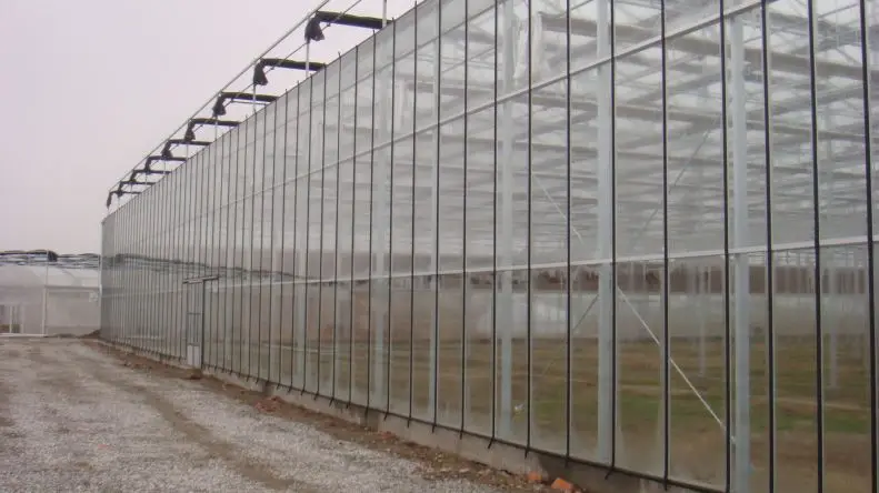 
Cheap price glass greenhouse factory direct sale with equipments keeping good condition for plants 