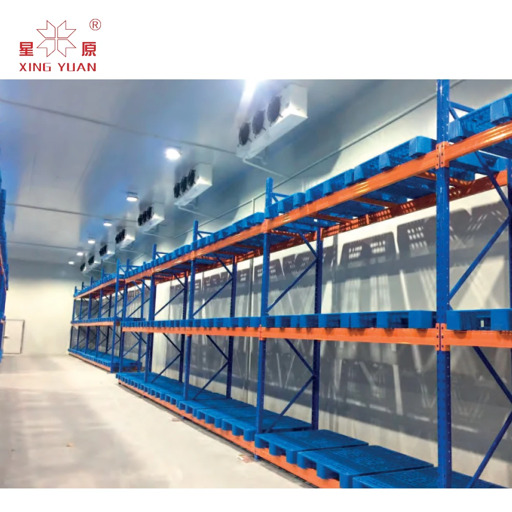 blast freezer cold room for seafood, fish cold room storage from dubai