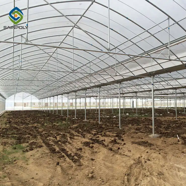 Agricultural Film greenhouse with hydroponic system