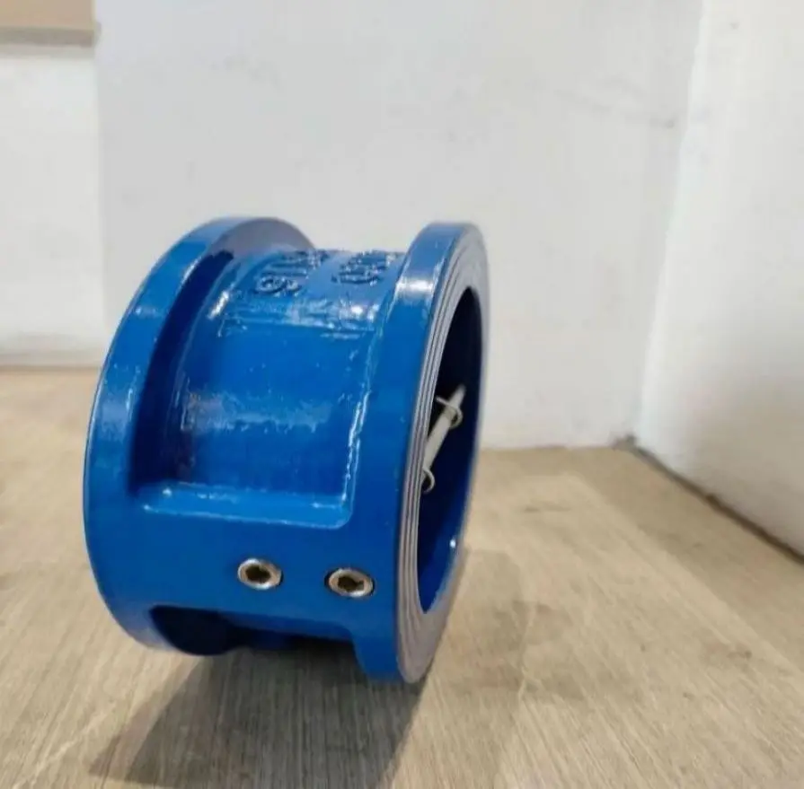 Wafer Type Dual Plate One-way Valve PN16 DN125 Double Flanges Check Valve for Water System
