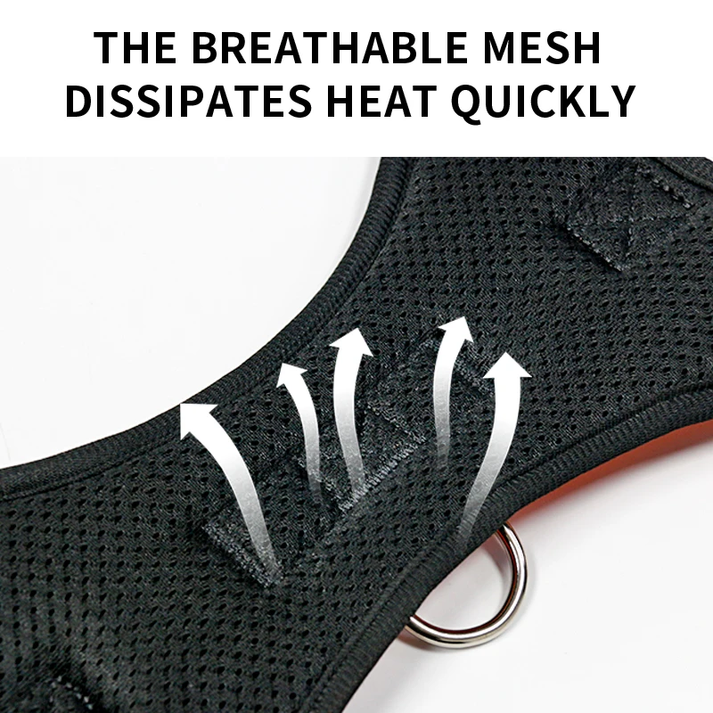 600D Oxford Fabric from Pet Supplier Solid Pattern Saddle Style Breakaway FeatureRibbons Decoration Cats Made Fiber Pet Harness