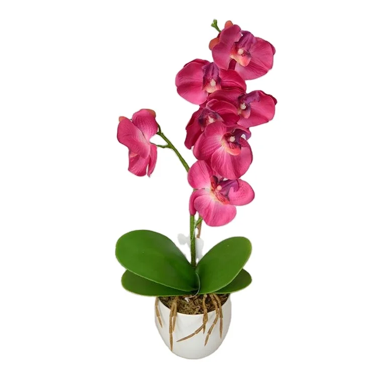 Wholesale garden decoration artificial plastic phalaenopsis orchid plants flowers Bonsai