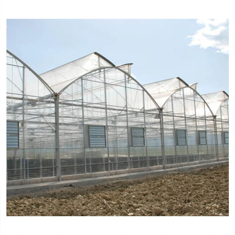 Guaranteed Durability & Wind Resistance at Affordable Prices - Greenhouses