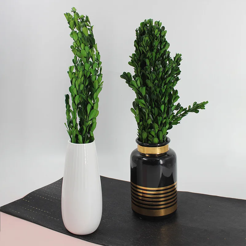 China supply small preserved leaves boxwood leaves green leaves Buxus sinica for bouquet