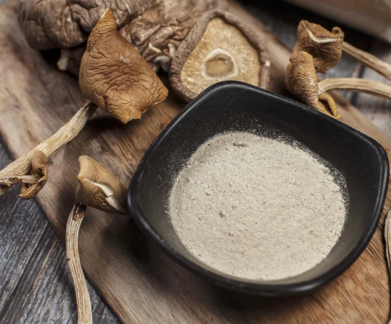 Seasoning powder mushroom flavor bouillon seasoning food grade flvor enhance for cooking