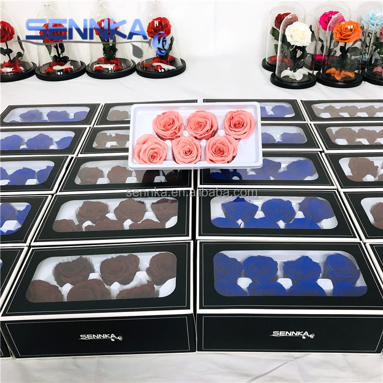 Christmas Smell Fresh Black Rose Real Preserved Flower for Sale