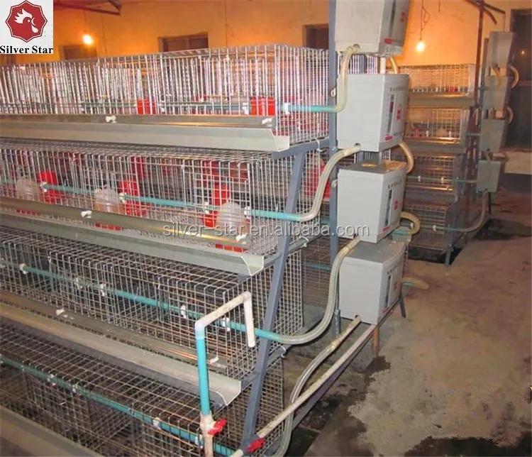 China Manufacturer Supply Automatic Chicken Feeding Cage Of Coop House Building Farming Equipment System For Poultry Farm