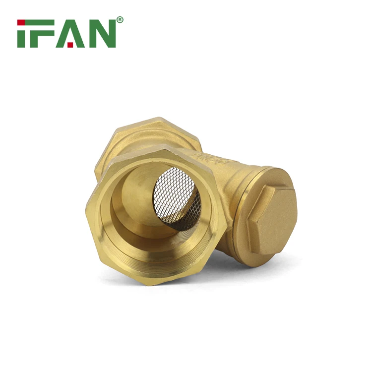 IFAN Free Sample Spring Check Valve 1/2 Inch Check Valve Vertical Non Return Check Valve