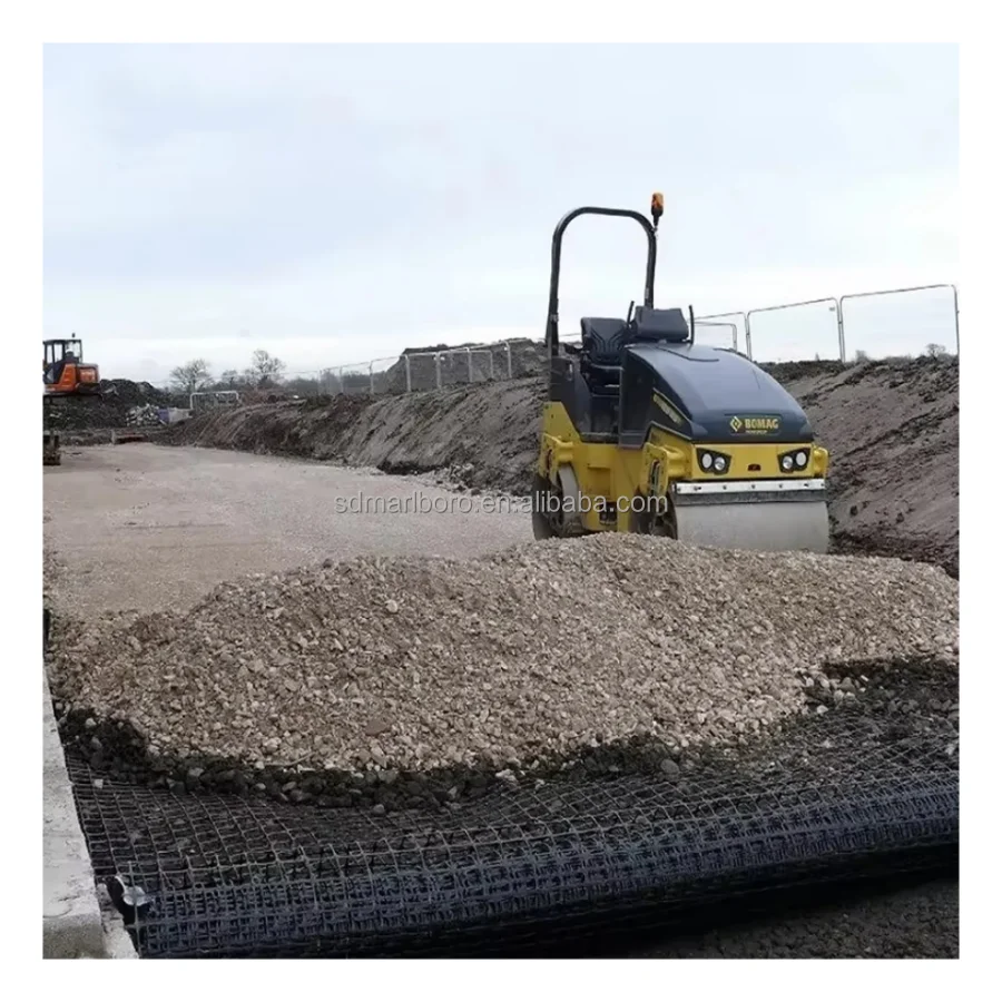 Polyester Geogrid Slope Stabilization Plastic Geogrid for Road Construction Civil Engineering Construction Biaxial Geogrid
