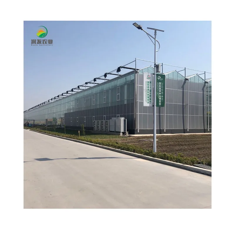Green House Agriculture Photovoltaic Solar Commercial Glass Greenhouse For Medical Plants Grow