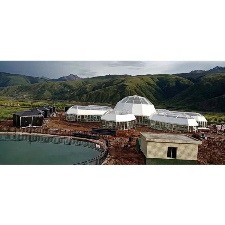 Custom material 20m big  glass dome house geodesic dome tent for sale