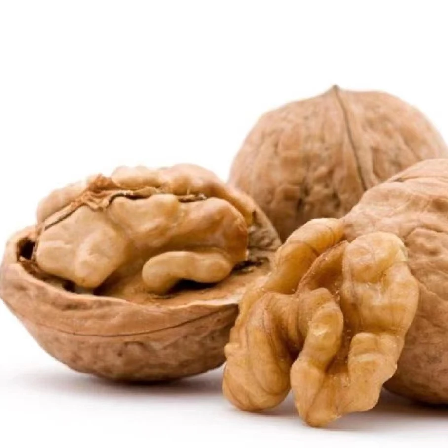 Top Quality Export Walnut Best Price Raw Dry Fruits Unwashed Walnuts