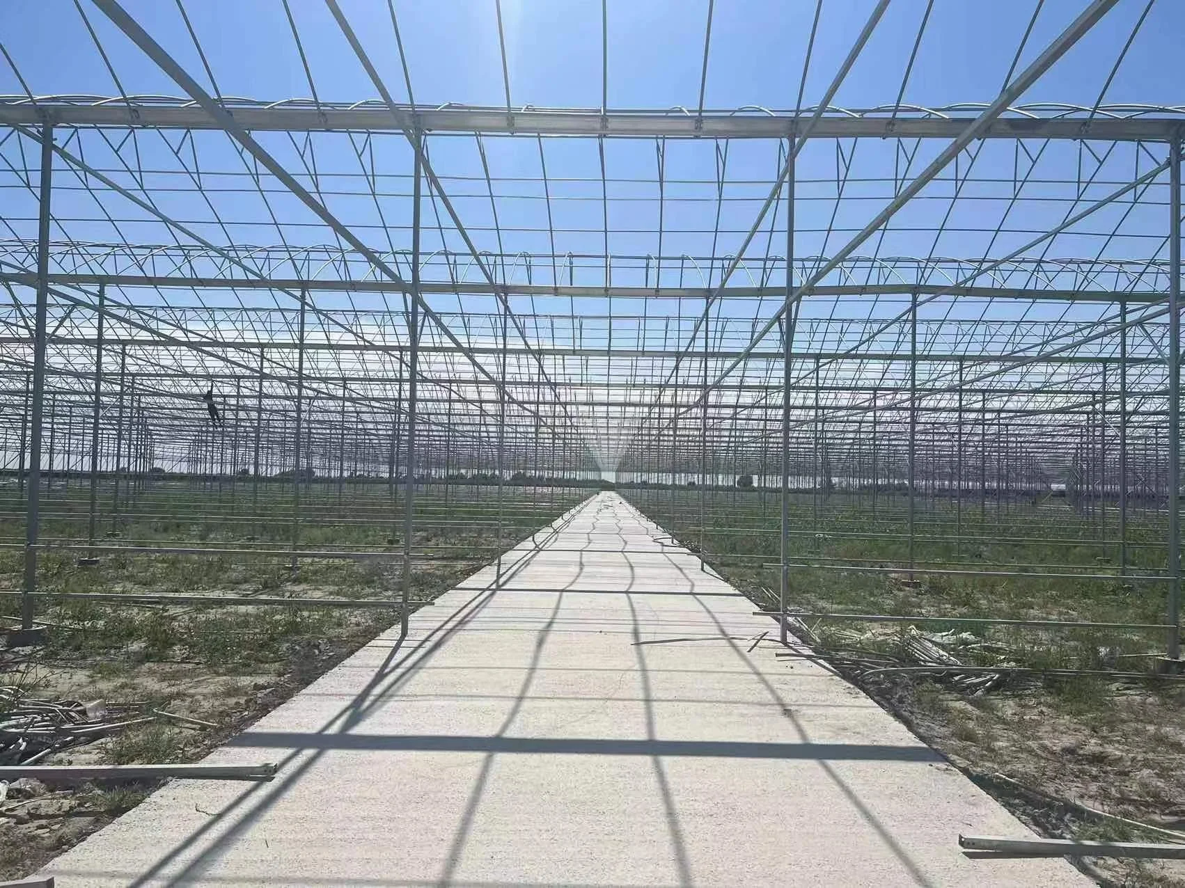 Agricultural Cultivation Hot Dip Galvanized Steel Frame Growing Multi-span Glass Greenhouse Tunnel Mushroom Greenhouse