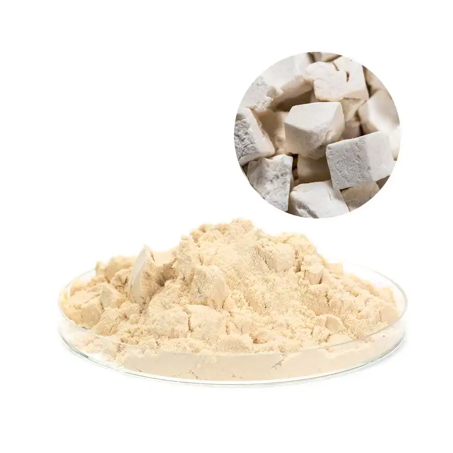 Chinese Professional Supplier Natrual Organic Poria Cocos Extract Poriae Cocos Extract Powder