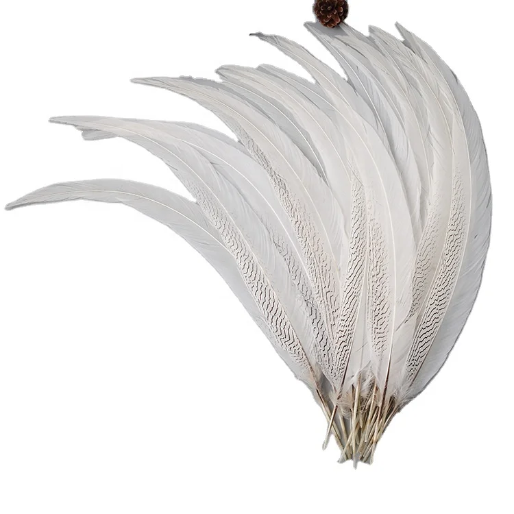 45-50cm DIY Feather Silver Pheasant Tail Feather Pheasant Plumage for Carnival Costumes Decoration