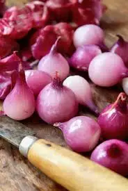 Good Quality vegetables Red Onion for Cooking Food Available at Wholesale Price from Indian Exporter