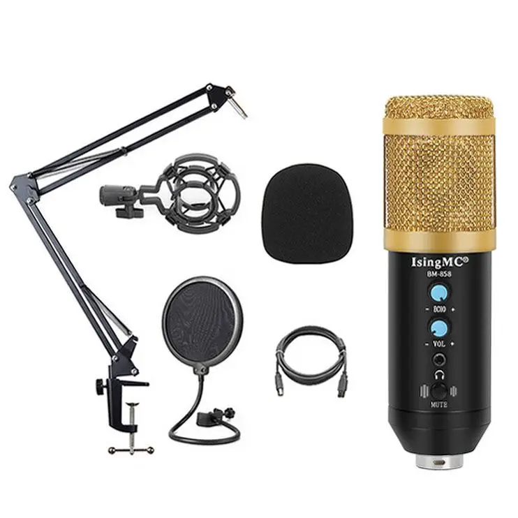 Hot Sell C1 Studio Condenser Recording Microphone