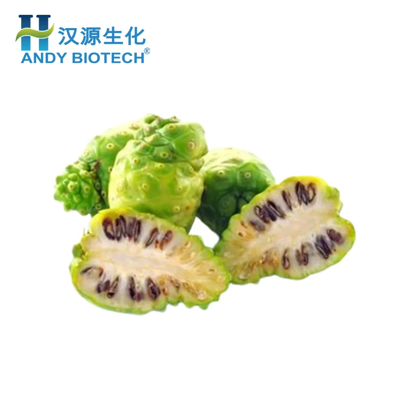 Food grade Noni Fruit Extract Powder , Healthy Supply Dried Noni Fruit Powder
