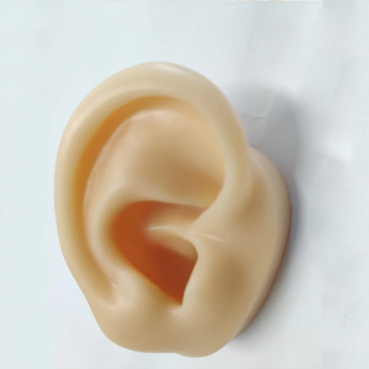 human ear molds silicone ears for earings display ear model