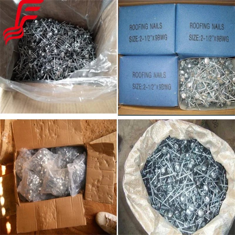 Roofing Nails Coil ! Galvanized Roofing Nails Twisted Shank