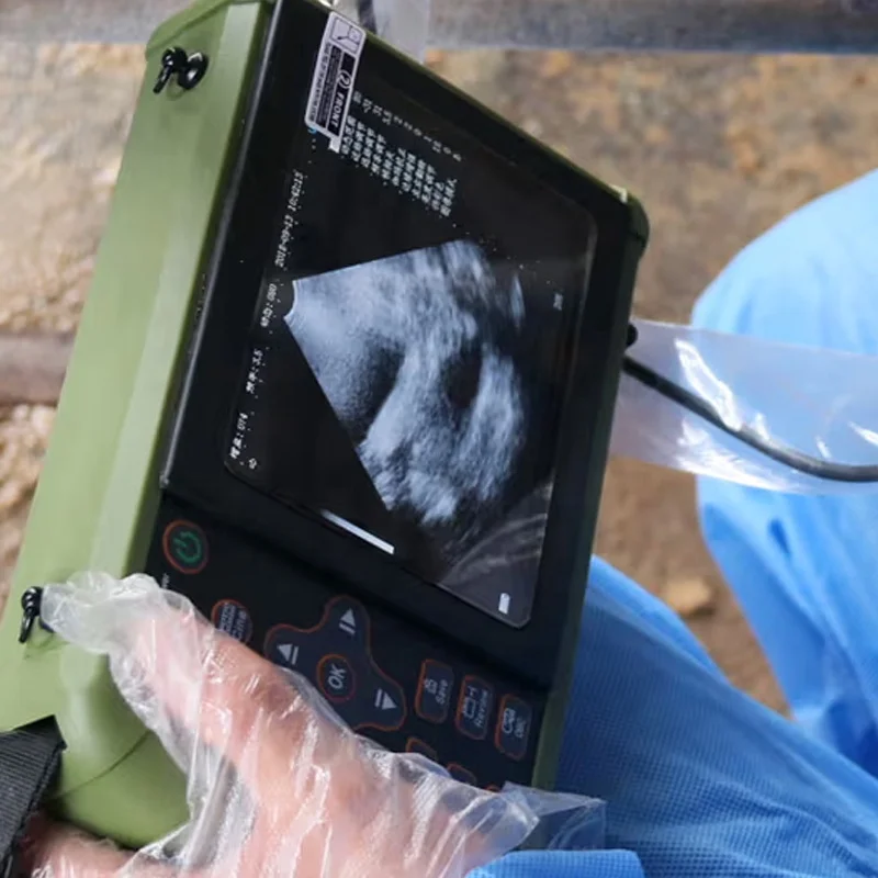 Veterinary Equipment Small Animal Portable Vet Scanner Goat/Dogs/Pig/Swine/Feline Pregnancy Test Veterinary Ultrasound Machine
