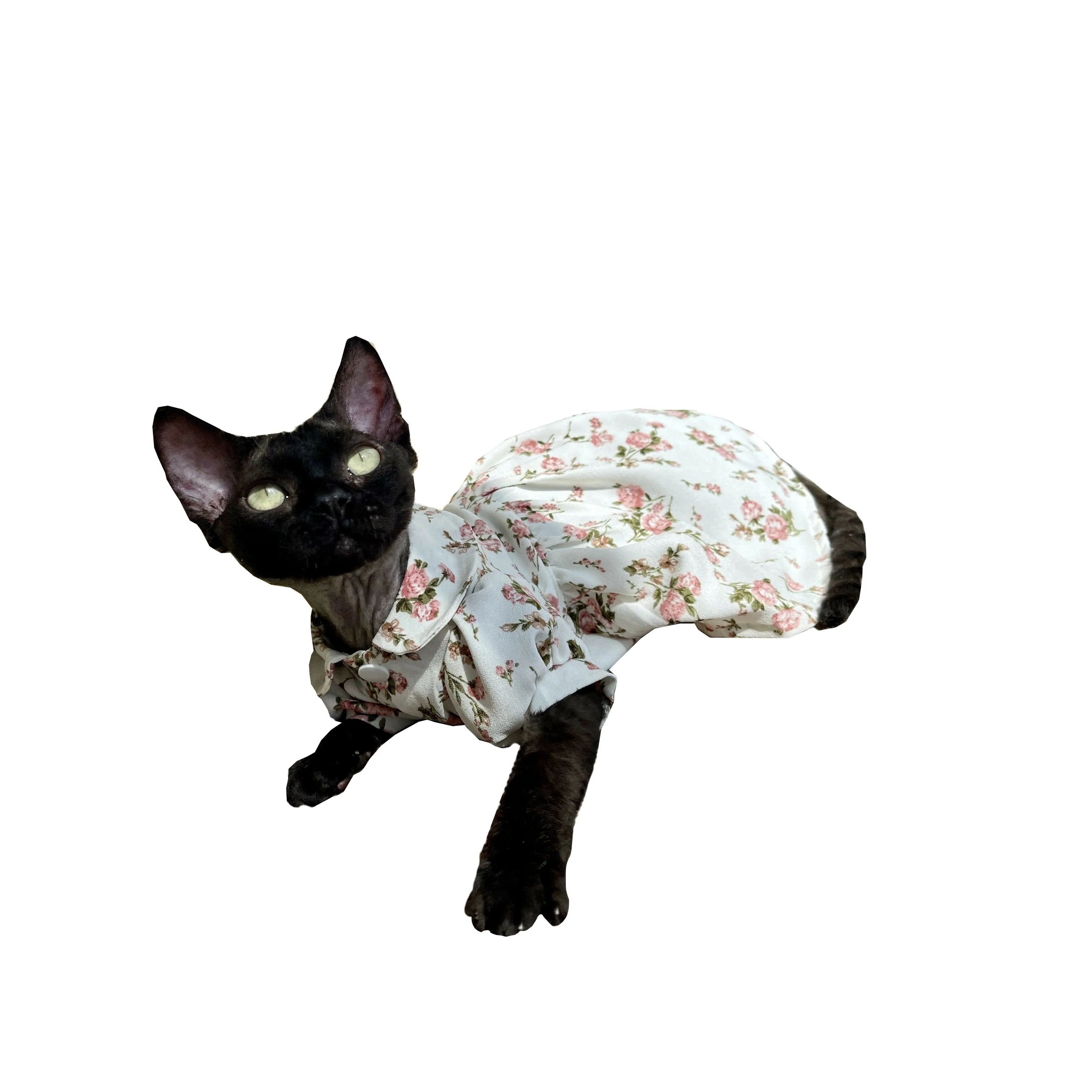 Hairless cat dress Devon and sphinx summer cool small floral cotton breathable lovely loose Free style modification