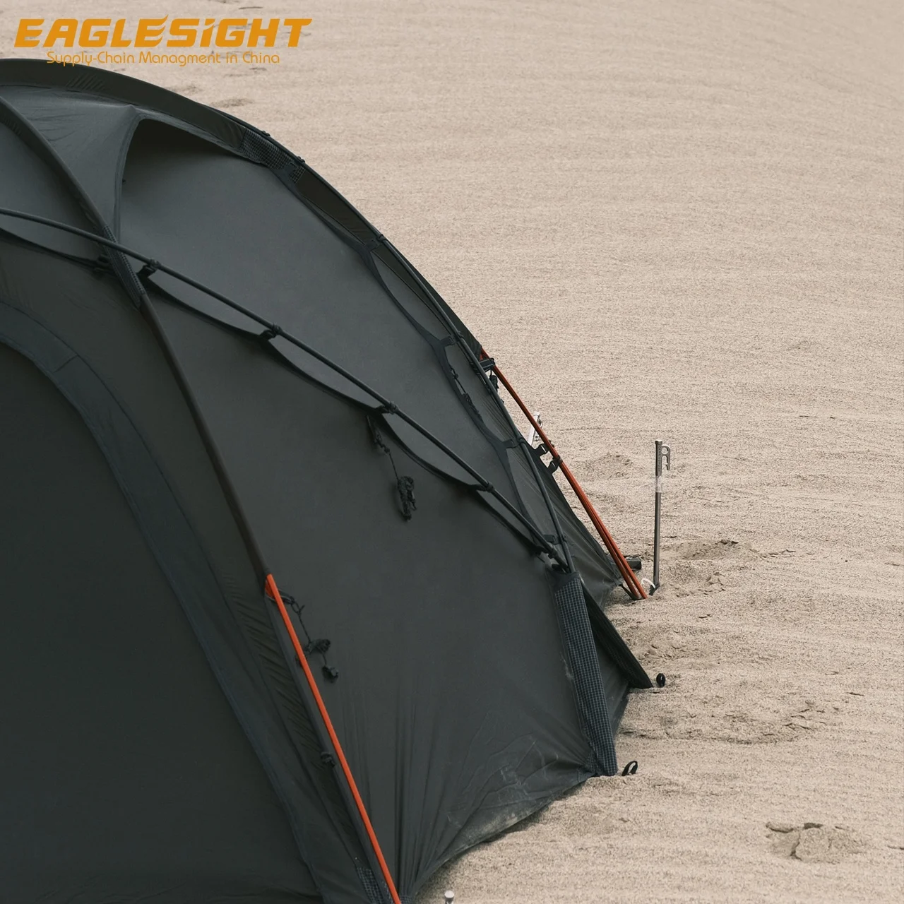 High quality 2 Person 4 Season Mountaineering Tent waterproof and windproof carbon fibre Pole Alpine Tent for outdoor hiking