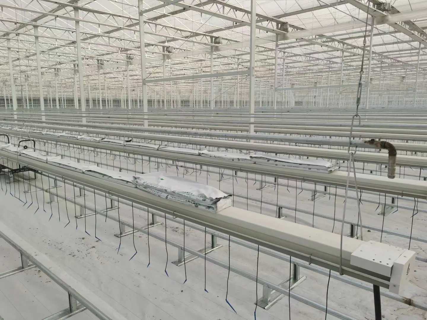 Intelligent Control  Hydroponic  Greenhouse Multi-Span Polycarbonate / PC Sheet Greenhouses With Overall System