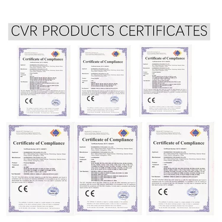 CVR Professinal Mini 8-дюймовый коаксиальный системный динамик