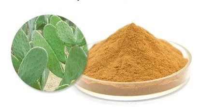 Высококачественный экстракт 10:1 20:1 Hoodia Gordonii Экстракт Кактуса порошок экстракта