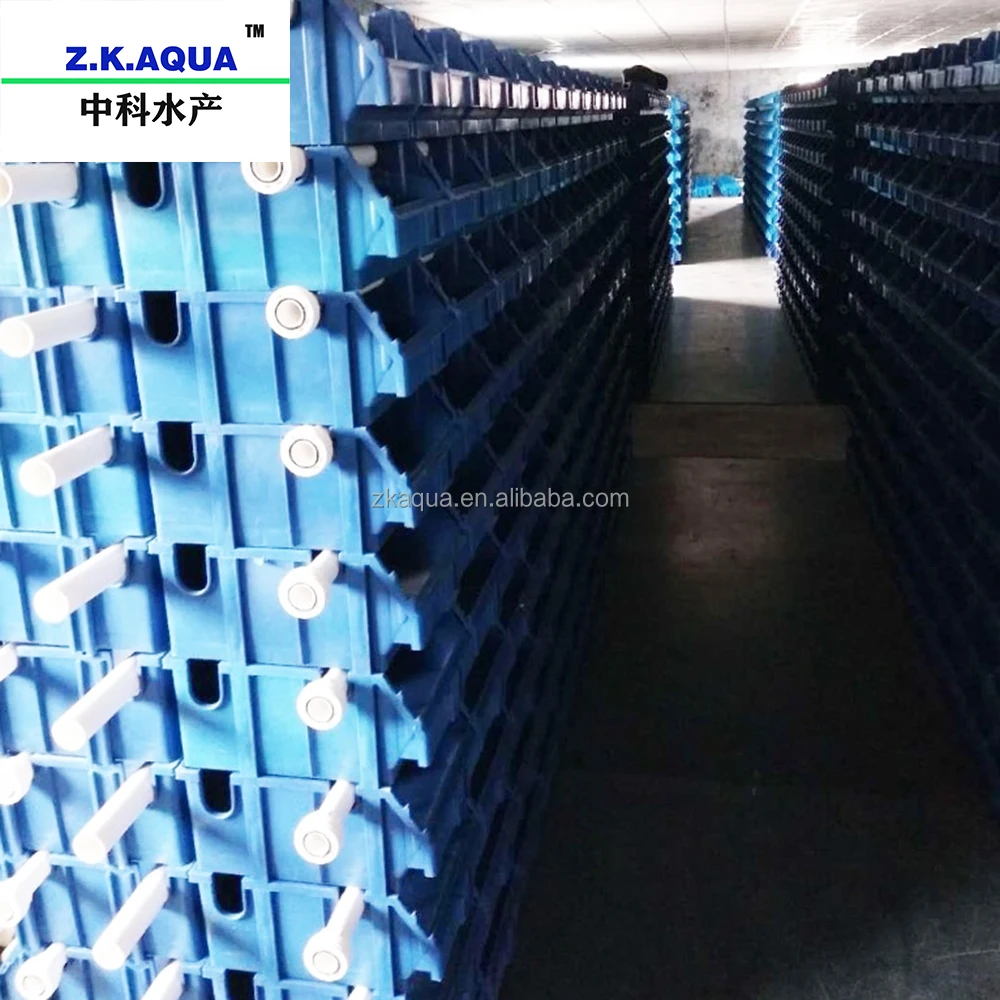 Mud Crab house Philippines Vertical Farming Cost Crab Farm System crab boxes ras system
