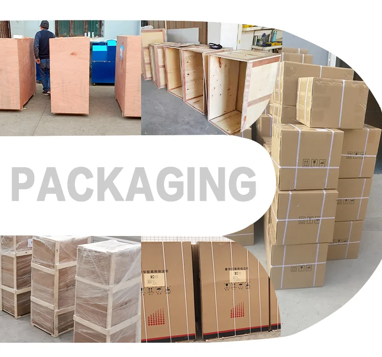 paste-pic-dp_uuid_55e1b