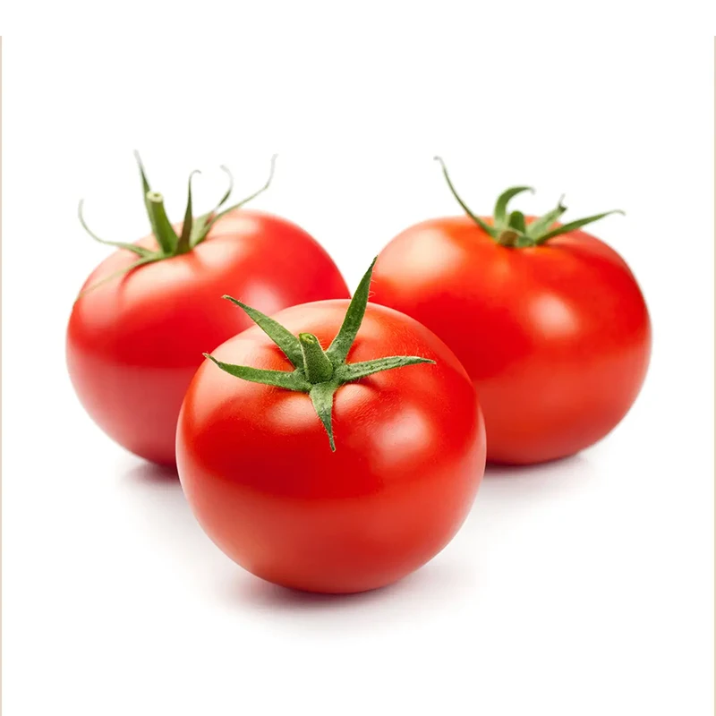 Wholesale Natural Vegetables New Crop Tasty Tomato Fresh Natural Cooked Tomatoes