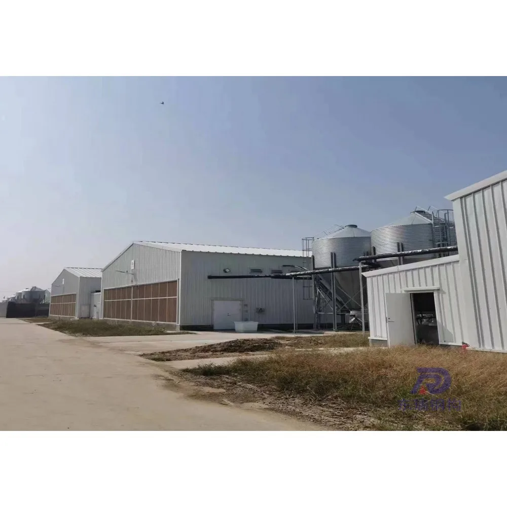 simple design steel structure sheep goat farming building in Australia