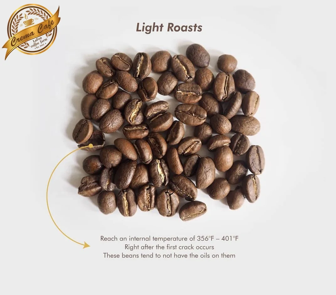 Капельный мешок Arabica набор для кофе на 10