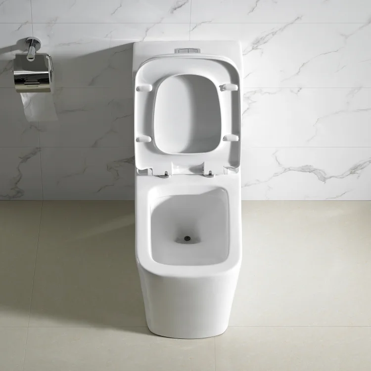 Toilet & Accessories 2021 Hot Sale white ceramic toilet water saving big impact