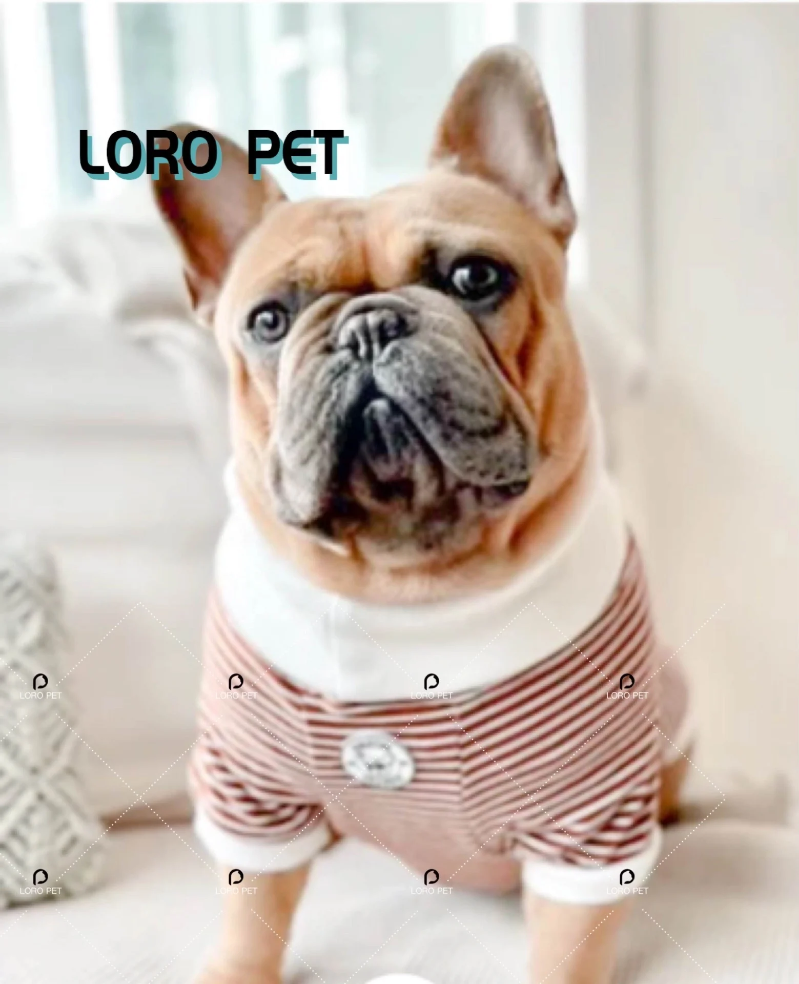 luxury designer dog clothes Pet Dog Fleece Sweater Clothes Fleece Custom Printed Blank Dog Hoodies