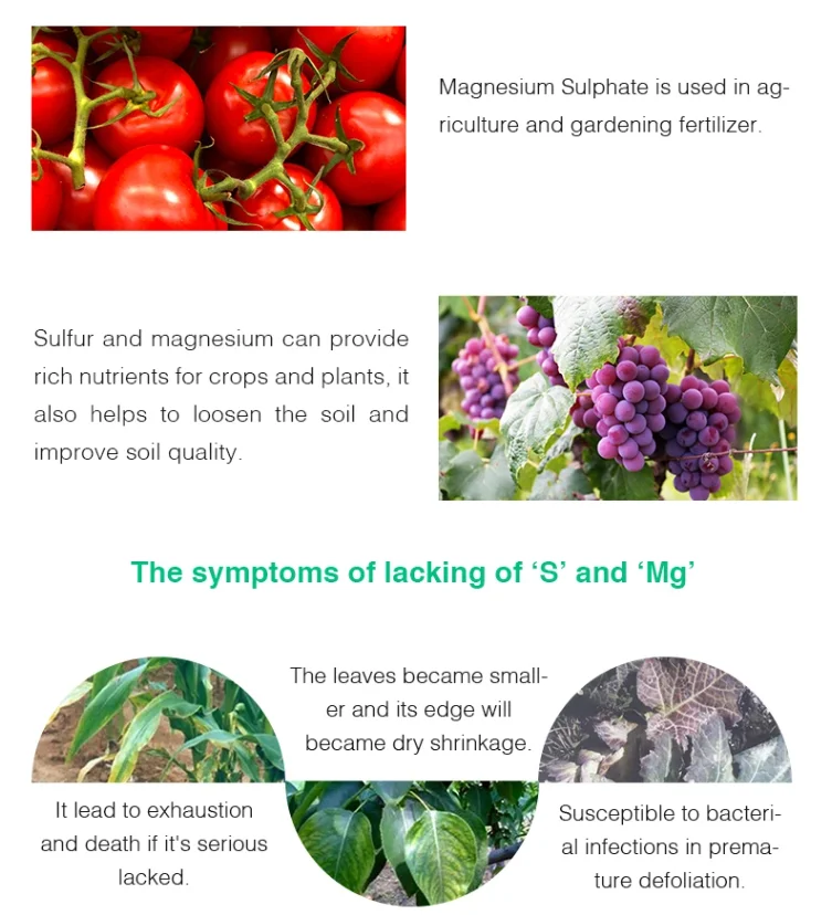 Dinghao Magnesium Sulphate  Kieserite Fertilizer