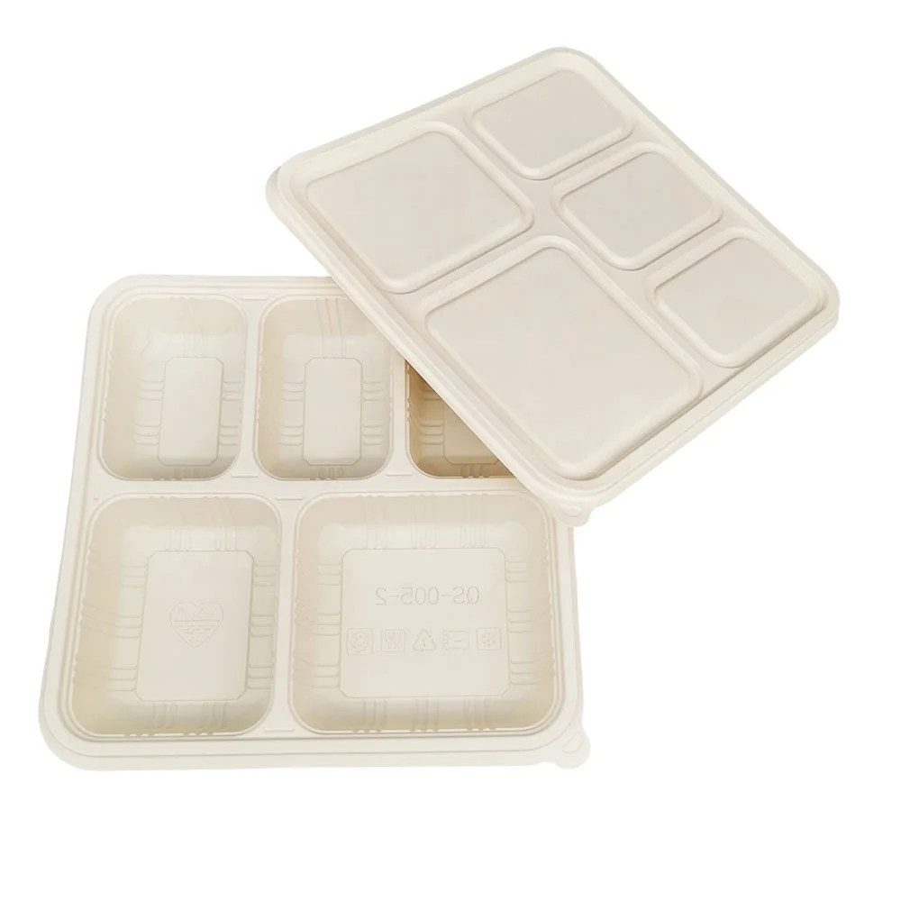 Catering Canteen restaurant use 5 compartment corn starch food box biodegradable disposable lunch box food tray with lid