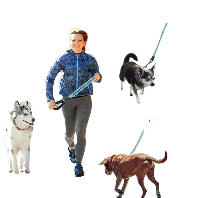 High Quality Nylon Pet Leash Durable Dog Outdoor Travel Collar Belt EVA Handle Pet Supplies For Puppy Training Running Walking