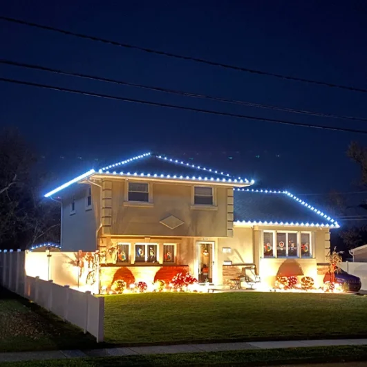 25ft E12 C7 light stringer 12 inches spacing outdoor string light cord with 25 sockets