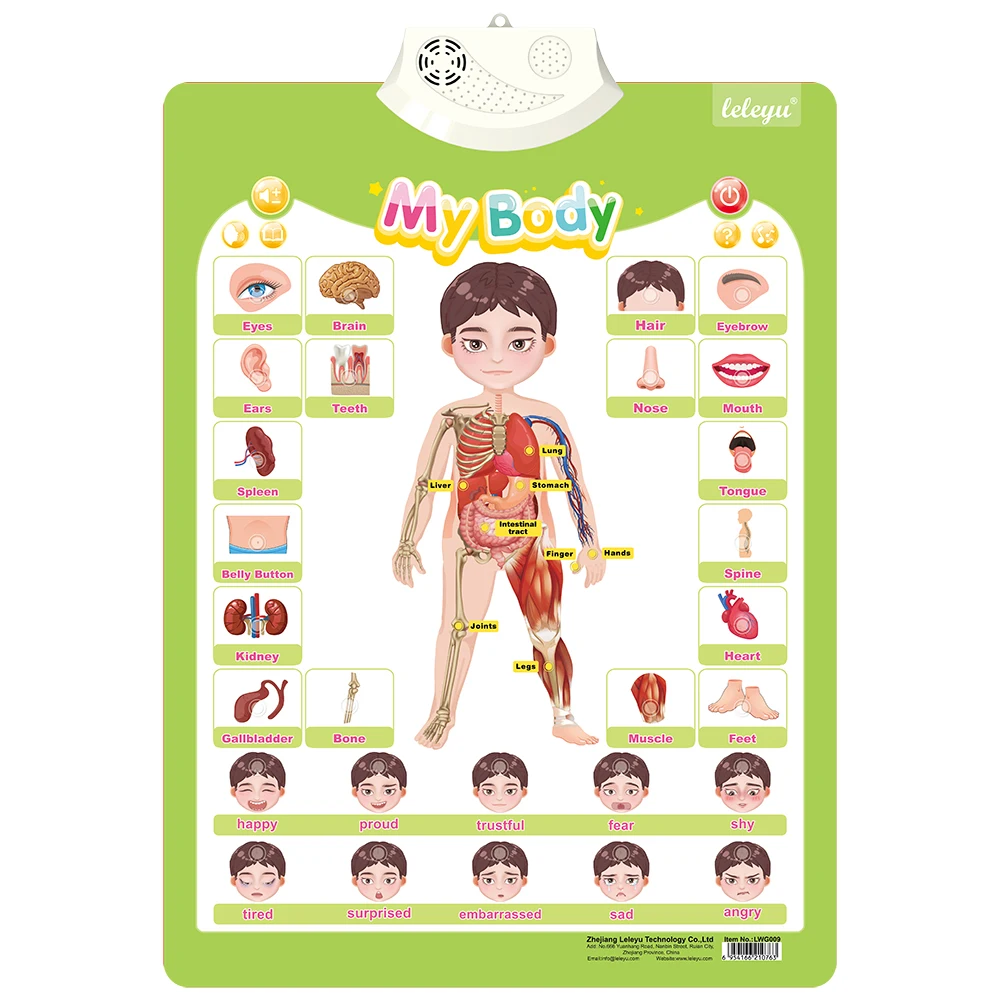 Factory Supply Learning Toy for Kids Body Part Chart Talking Poster to Learn Our Organs Game Music Sound BookToy