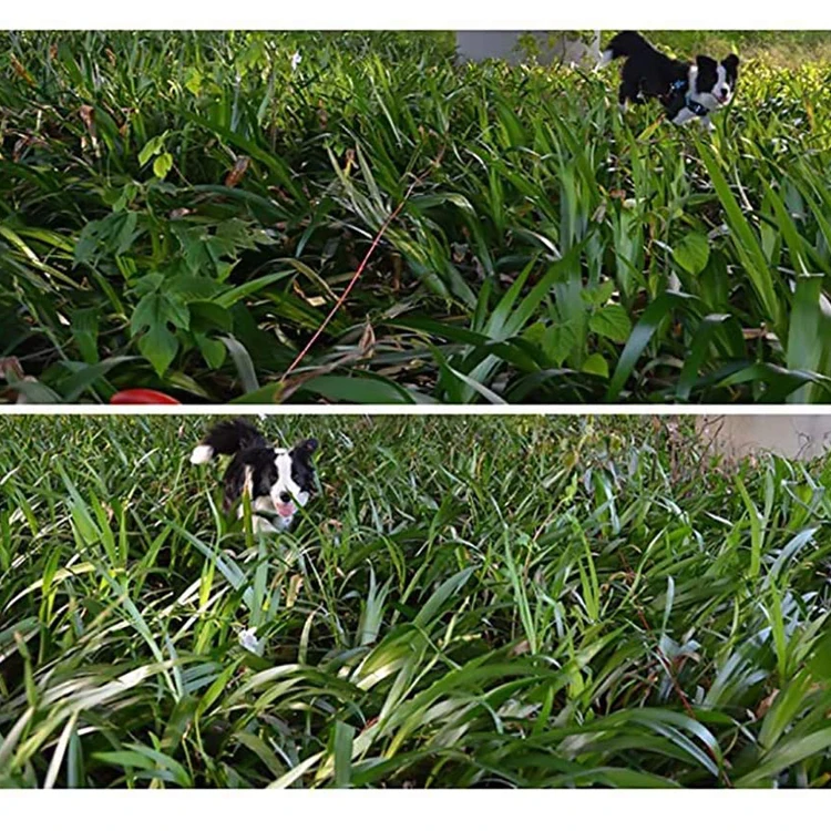 Dog Tie Out Cable Stake Leash Stake Outside Yard Beach Lawn Ground Anchor Medium Large Dogs Strongest Tie Out Stakes