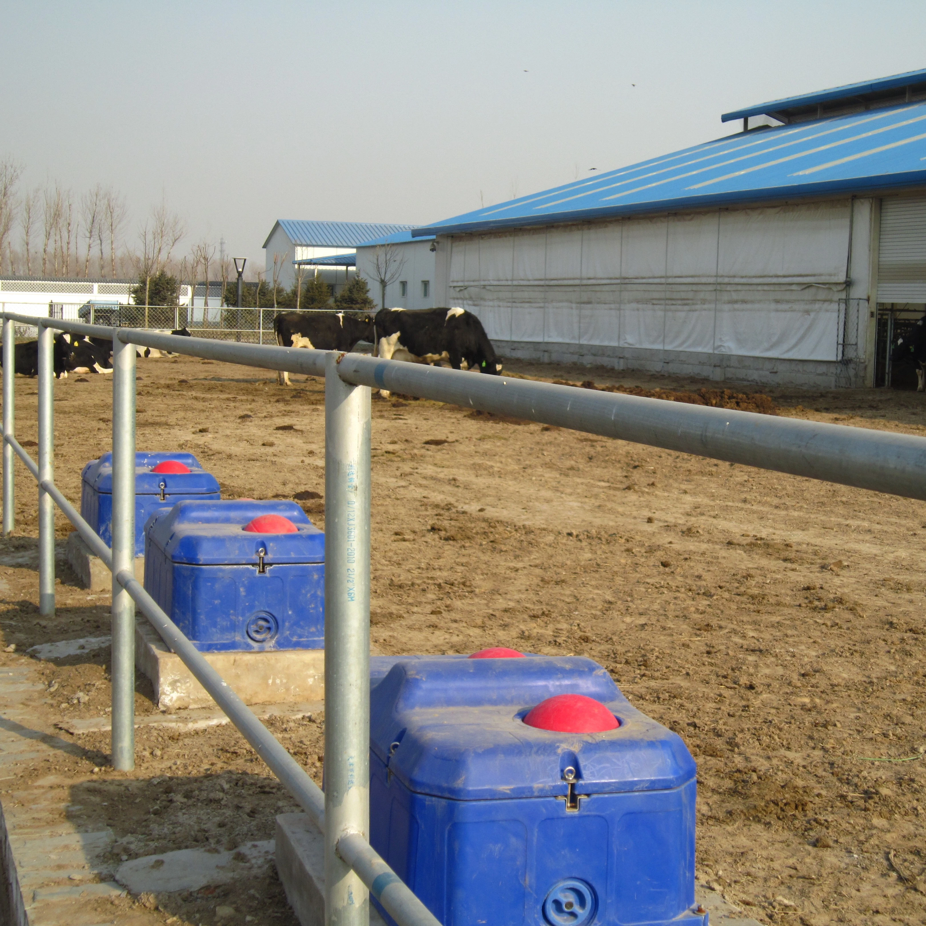 Livestock Dairy Automatical Drinking Bowl  Good Quality  Resistant Plastic  Water Trough
