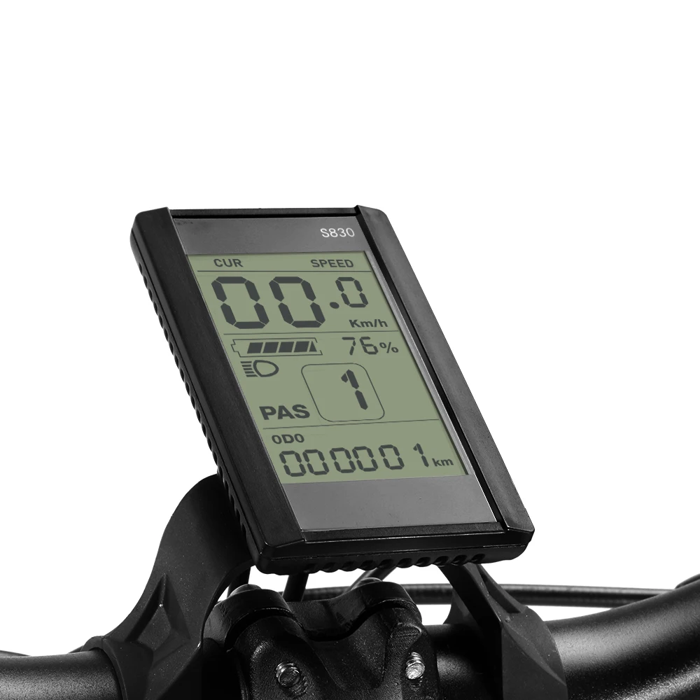 
F-2500E 250W 48V Snow Beach Removable Lithium Battery Dual Disc Brakes Folding Electric Bikes for Adults 