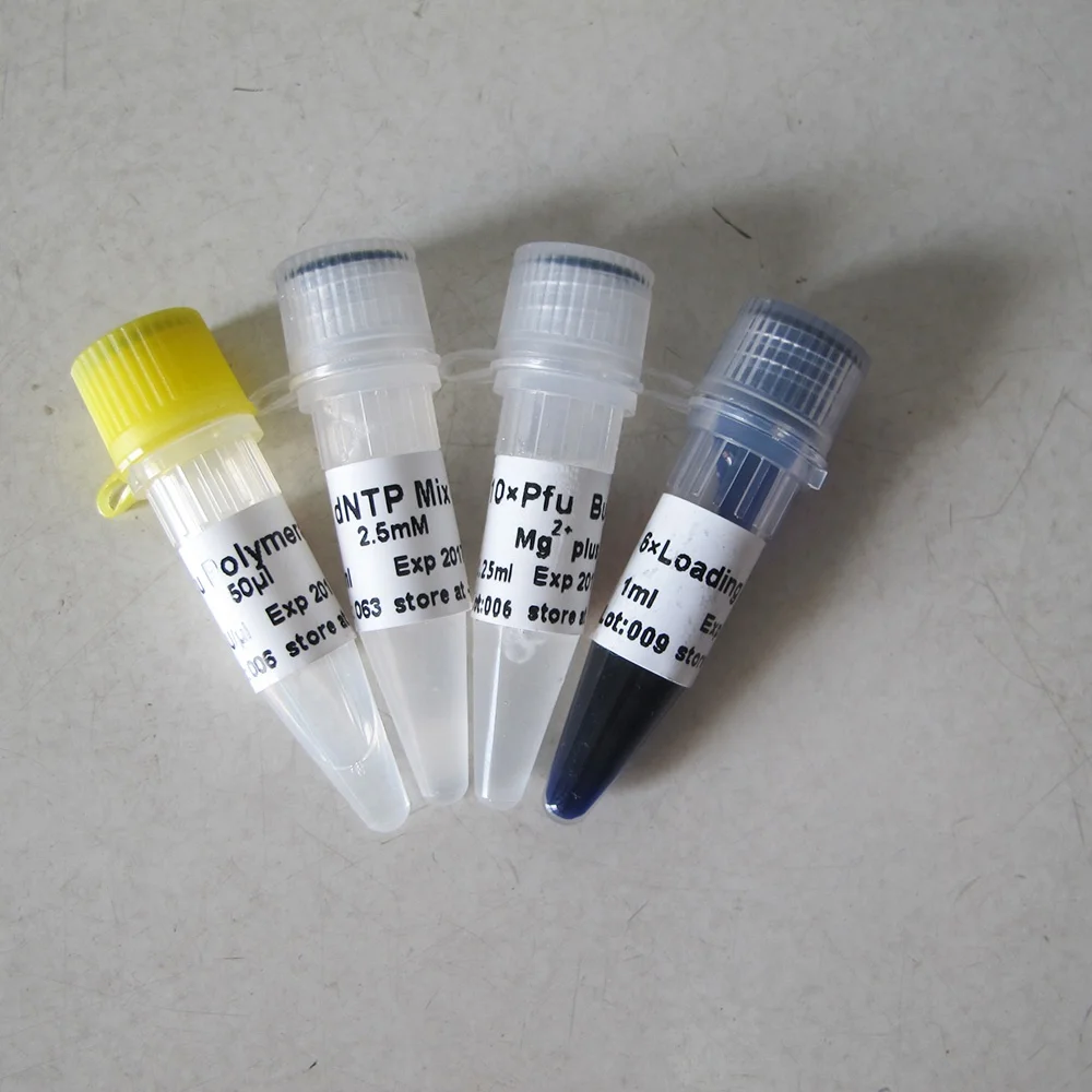 ПФУ ДНК-полимераза, высокоточная ПЦР