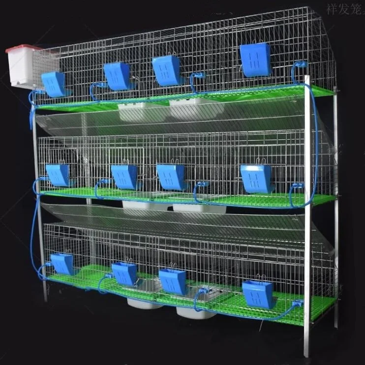 Factory Supply Cheap Cage For Rabbits Farm( 9 cells, 12 cells, 24 cells )