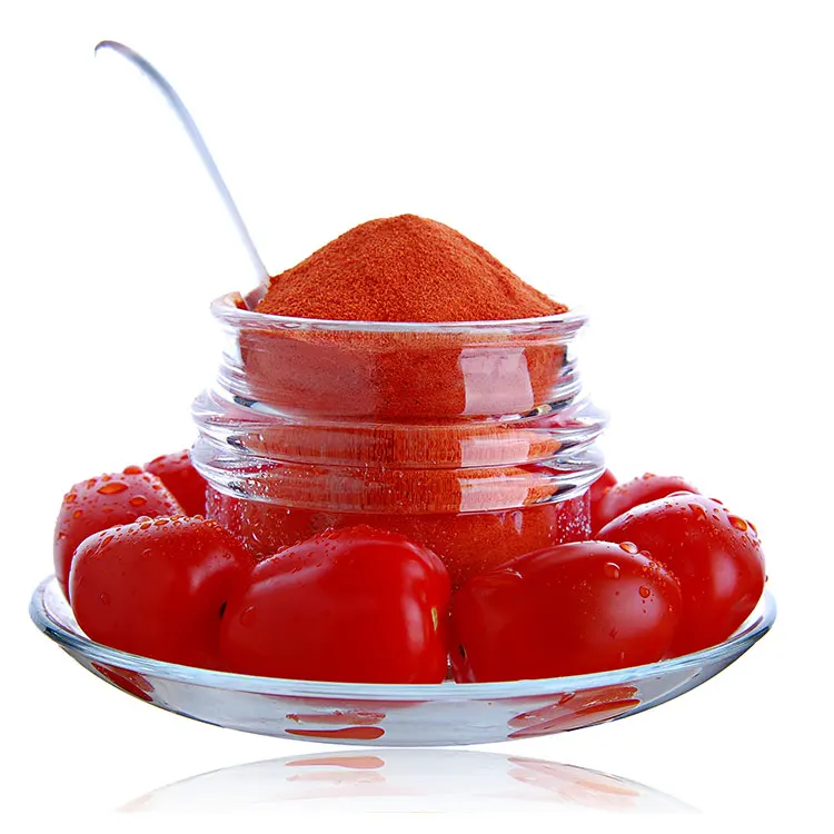 Tomato Extract Powder Manufacture Supply lycopene Dried Tomato Powder