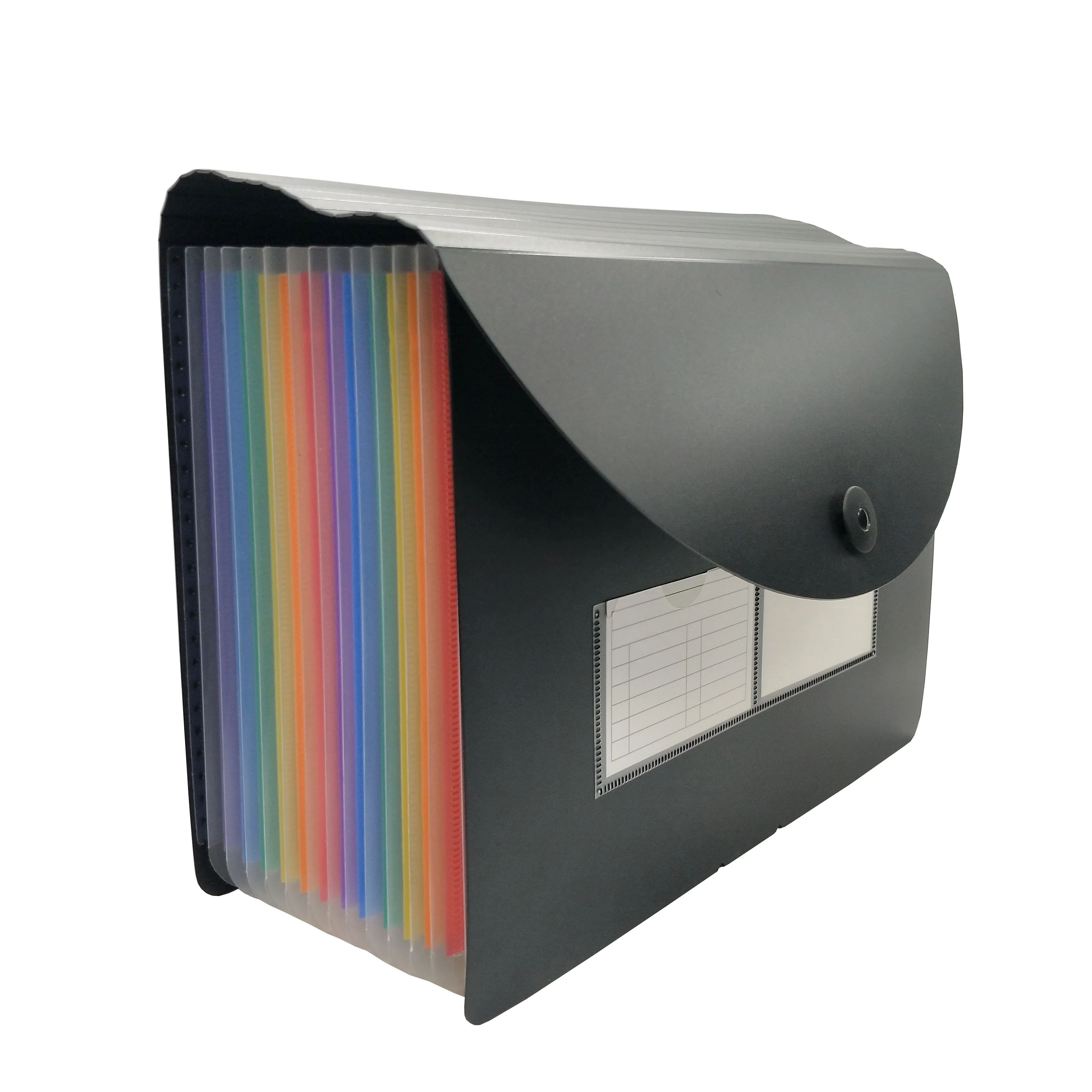 
Rainbow Color A4 PP Plastic Document Holder Desk File Storage Bag 12 pocket Expandable File Organizer Filling Folder 