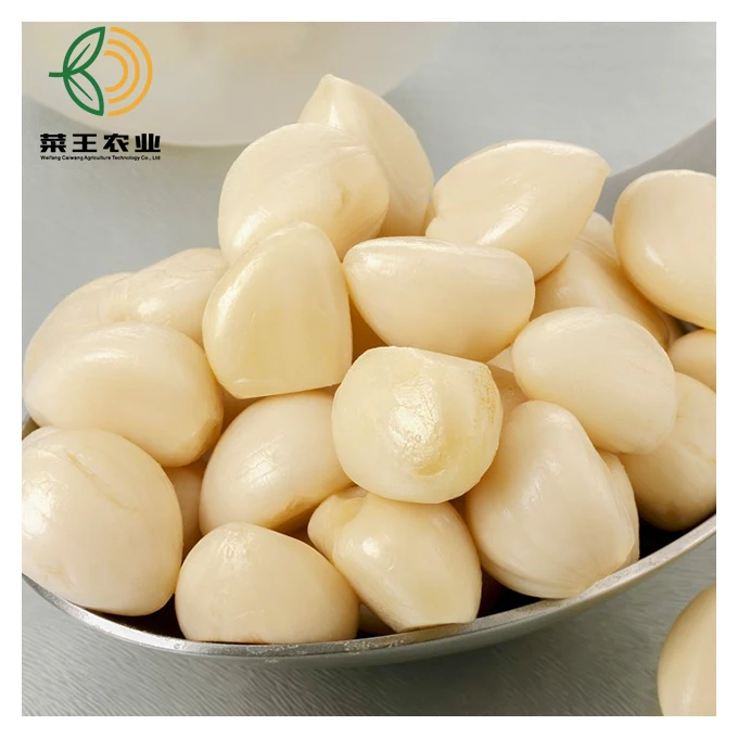 
2021 New Crop vegetable normal white fresh peeled fresh garlic galic price packed by mesh bag 